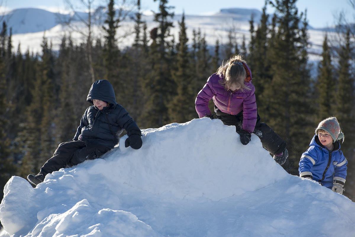 Wisata keluarga ke Harbin musim dingin: tips membawa anak - Harbin Ice and Snow World, Tiongkok