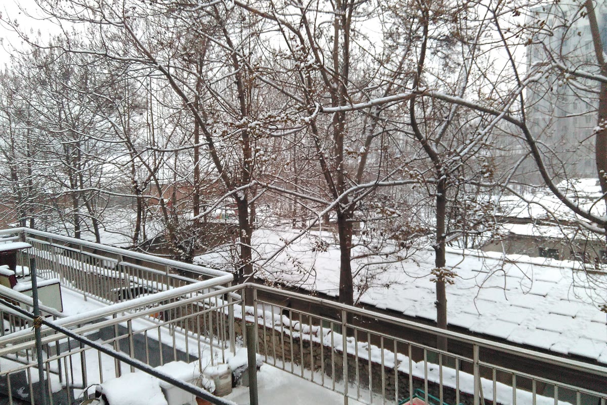 Tips memotret pemandangan salju: hasilkan nuansa es dan salju yang bersih dan jernih - Harbin Ice and Snow World, Tiongkok
